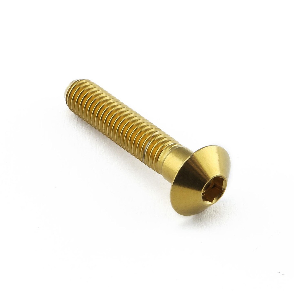 [AWFSSHLMOUNT10G] Pro-Bolt Stainless Steel Headlight Mount Bolt Kit