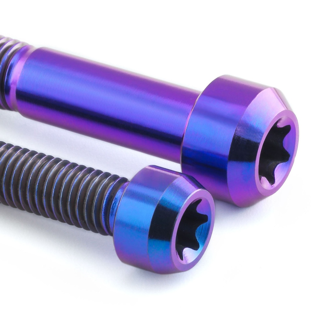 Pro-Bolt Titanium Mirror Mount Bolt Kit