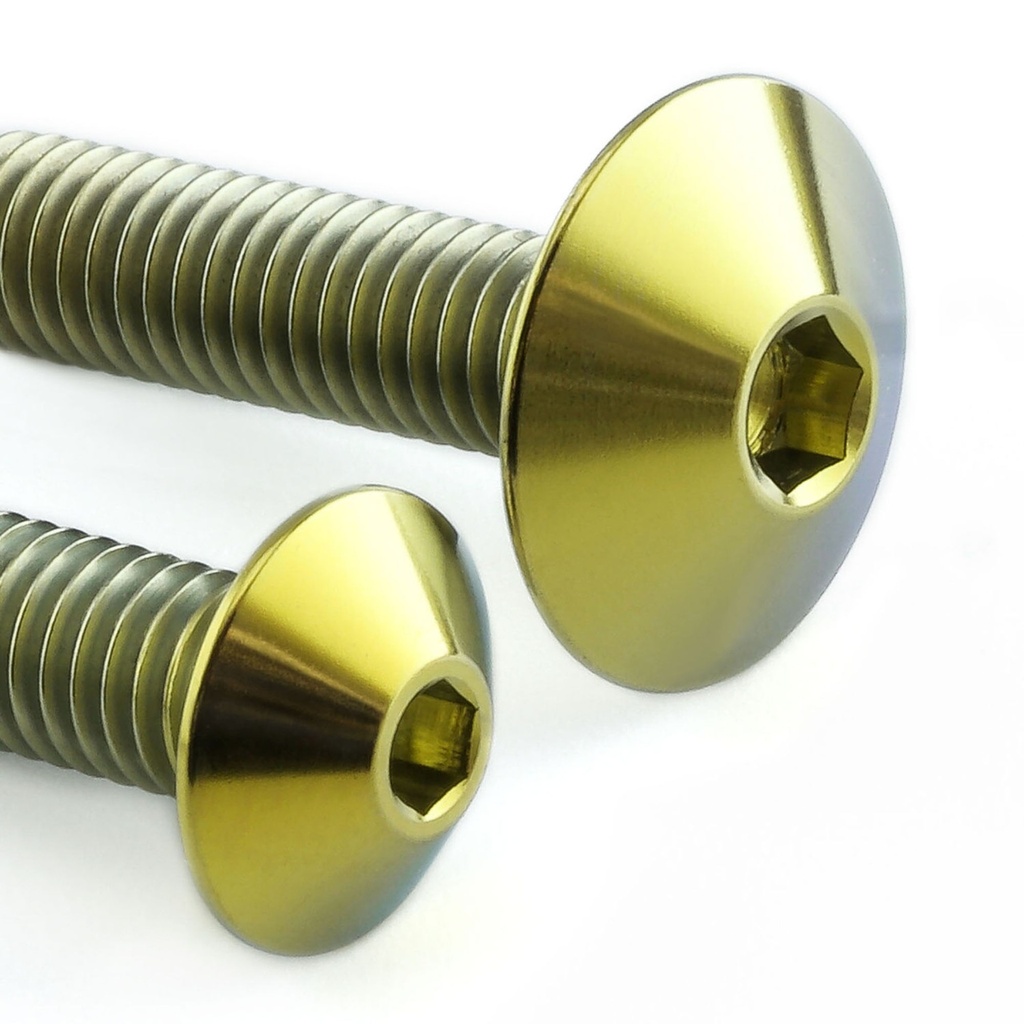 [AWFCHAINHUG210TIG] Pro-Bolt Titanium Chain Guard & Hugger Bolt Kit