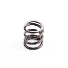B&S Valve Spring (Intake & Exh)