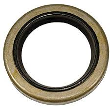 B&S Oil Seal - Magneto Side