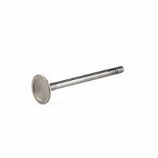 B&S Valve - Exhaust