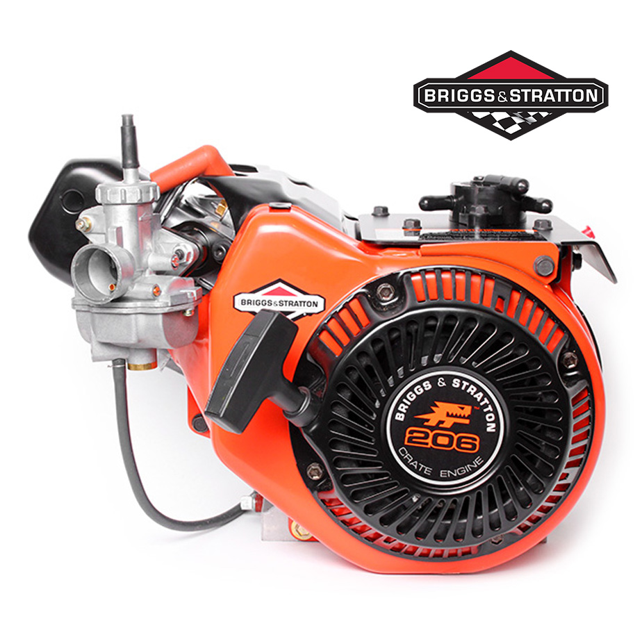 Briggs & Stratton 206 Engine