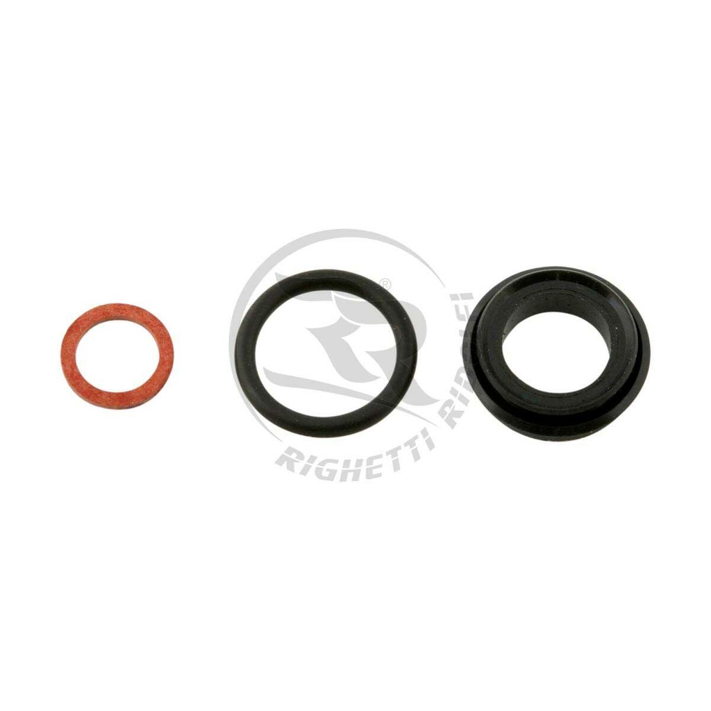 Oil Seal Kit for RR Master Cylinder