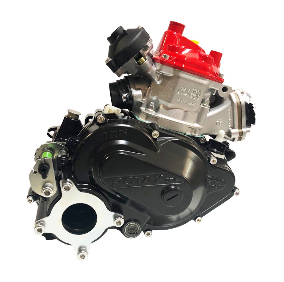 Rotax 125 MAX DD2 EVO - Bare Engine