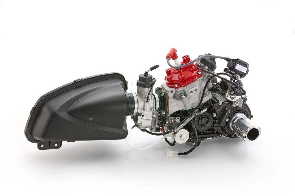 Rotax 125 MAX DD2 EVO Engine Kit