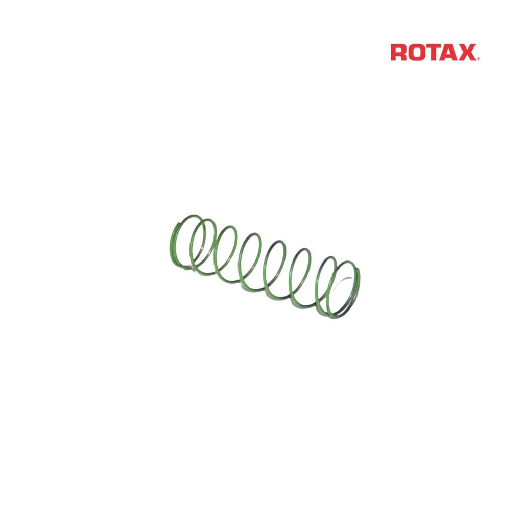 Power Valve Compression Spring - 48.5/0.8mm - EVO