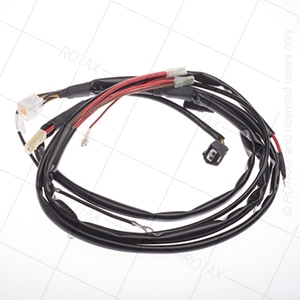 [Z266125] Rotax Wiring Loom - JNR/SNR/DD2 - Pre EVO