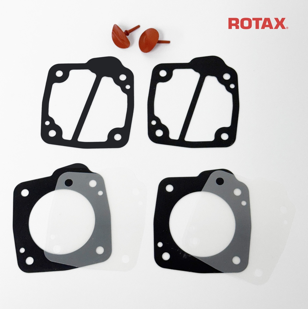 [Z296167] Rotax Repair Kit for Dellorto Fuel Pump
