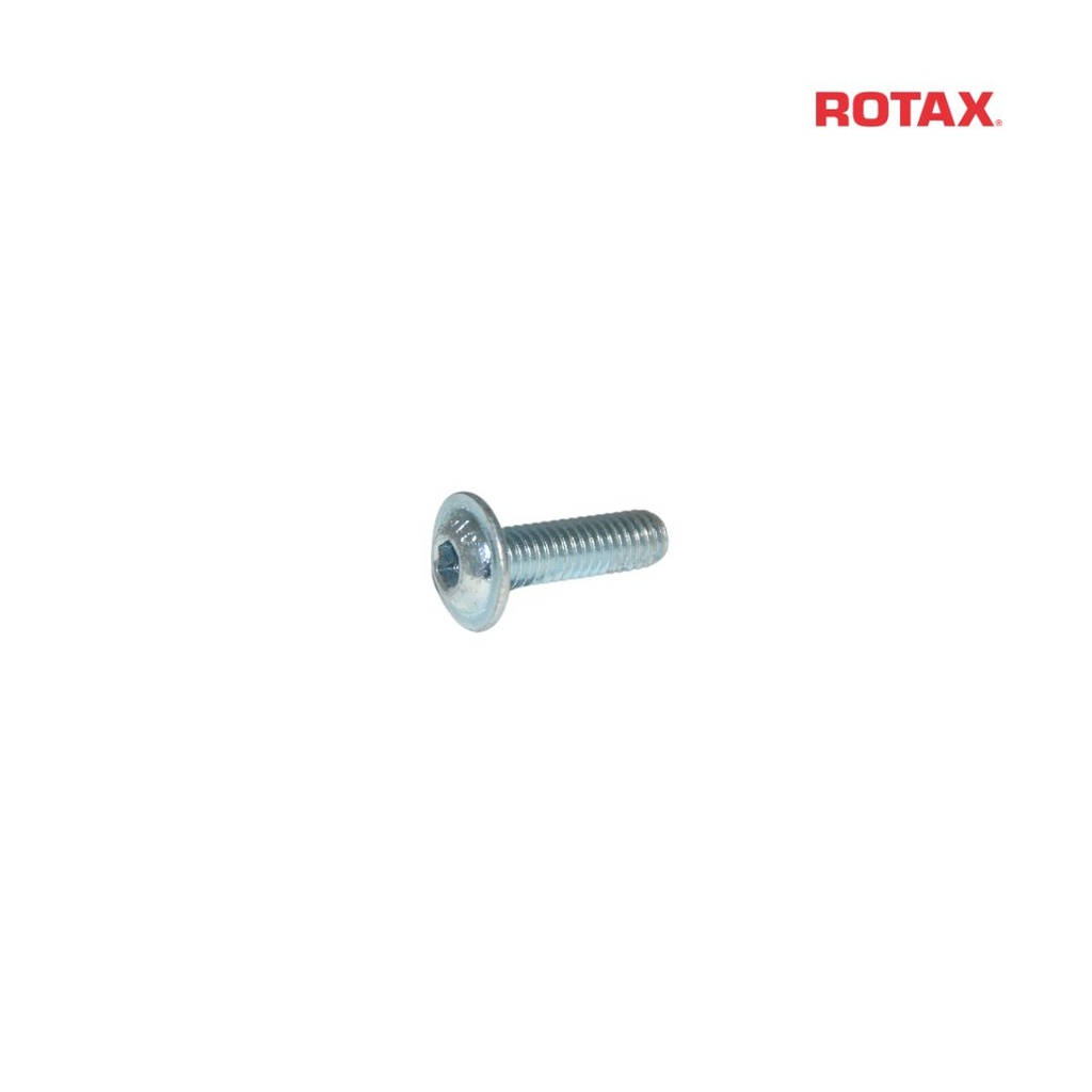 [Z440761] Rotax Radiator Rod Bolt - M6x20mm