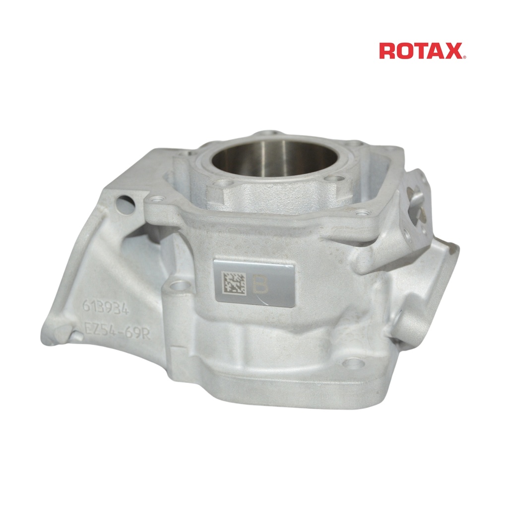 [Z613934] Rotax Cylinder - DD2 - 2024 ONWARDS