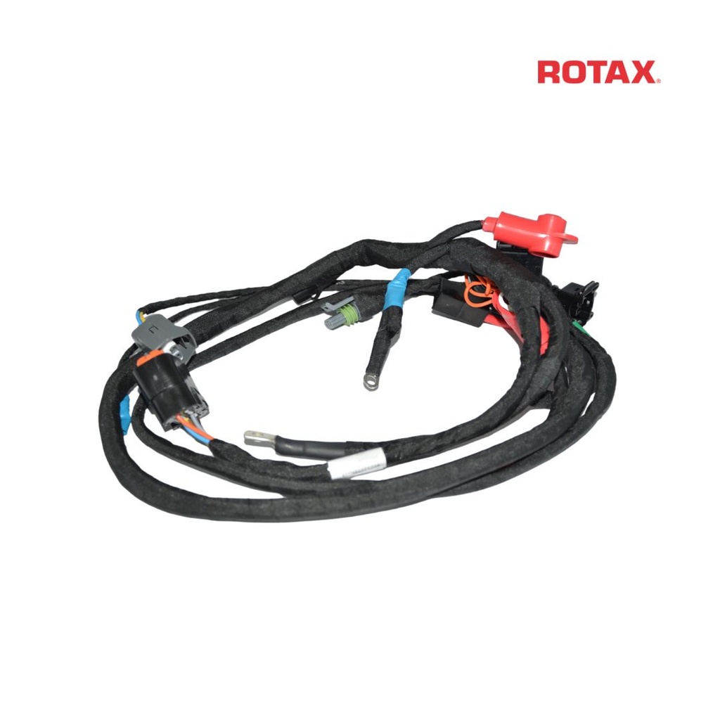 [Z666836] Rotax Wiring Harness - EVO