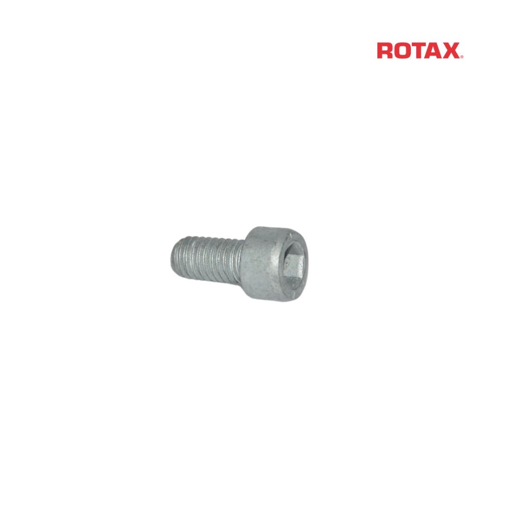 [Z840036] Rotax Allen Screw - 6x12mm