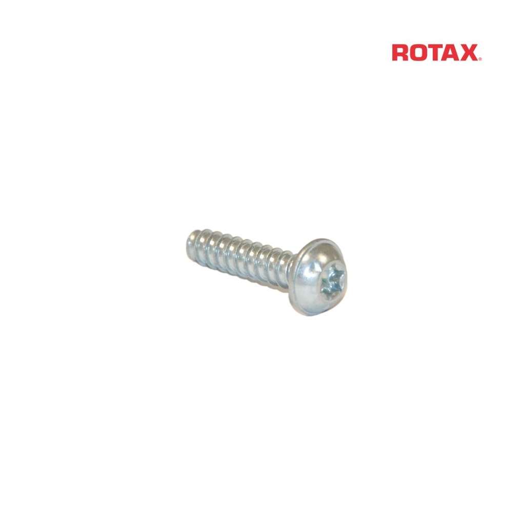 [Z940431] Rotax Plastite Screw - 6x25mm
