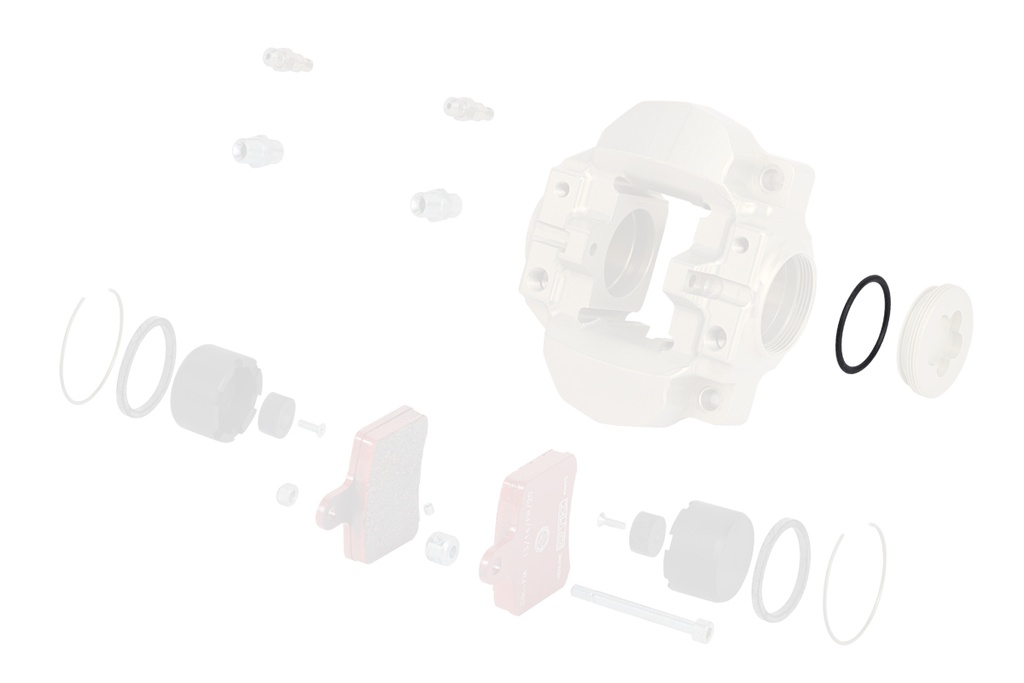 [EV0082.G10] OTK Rear Caliper Plug O-Ring - BSD