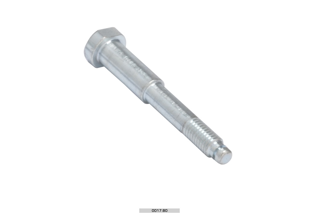[EV0017.B0] OTK Pedal Screw - EV