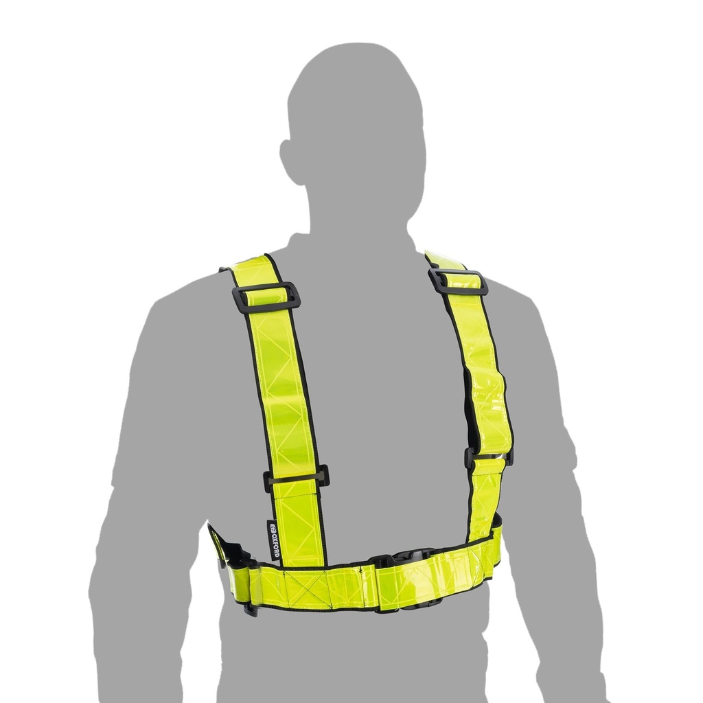 Oxford Bright H Belt