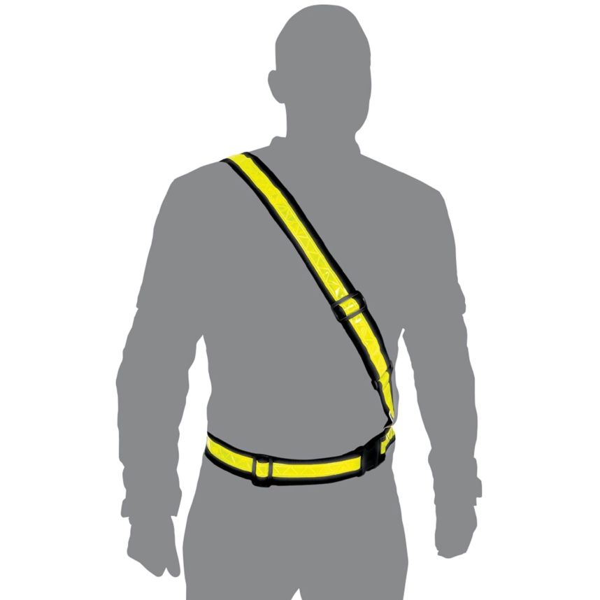 Oxford Bright Belt