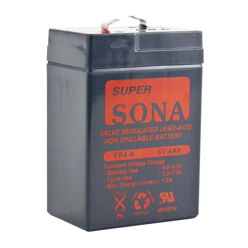 [RRSBGTBATTERY] Pitking Products Battery For Rally Service Area Clock