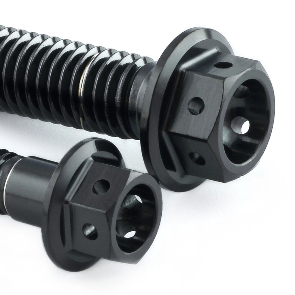 Pro-bolt Stainless Steel Speedometer Mount Bolt Kit
