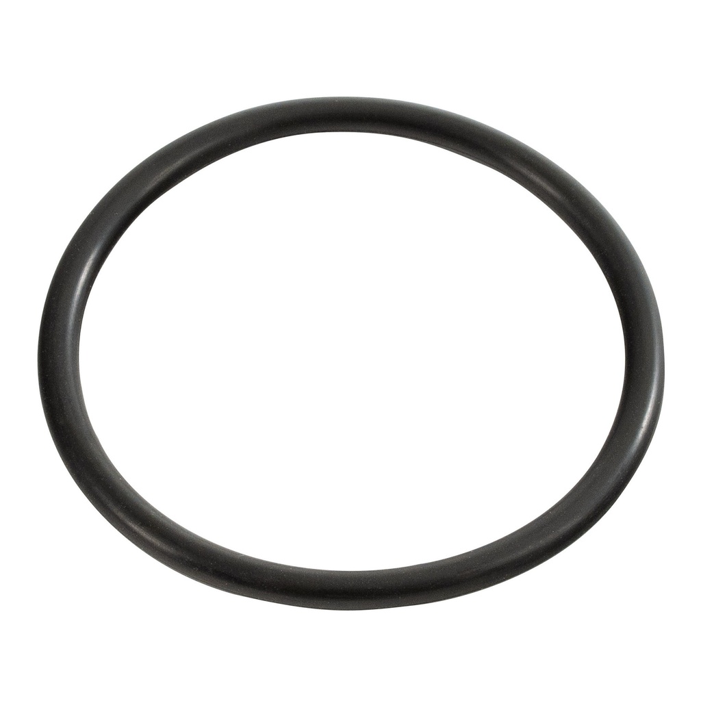 Flo-Fast Fuel Jug Replacement O Ring Seal