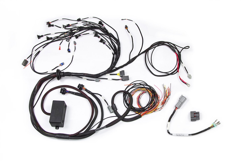 RB Twin CAM Main Harness, CAS Breakout, No Ignition Breakout