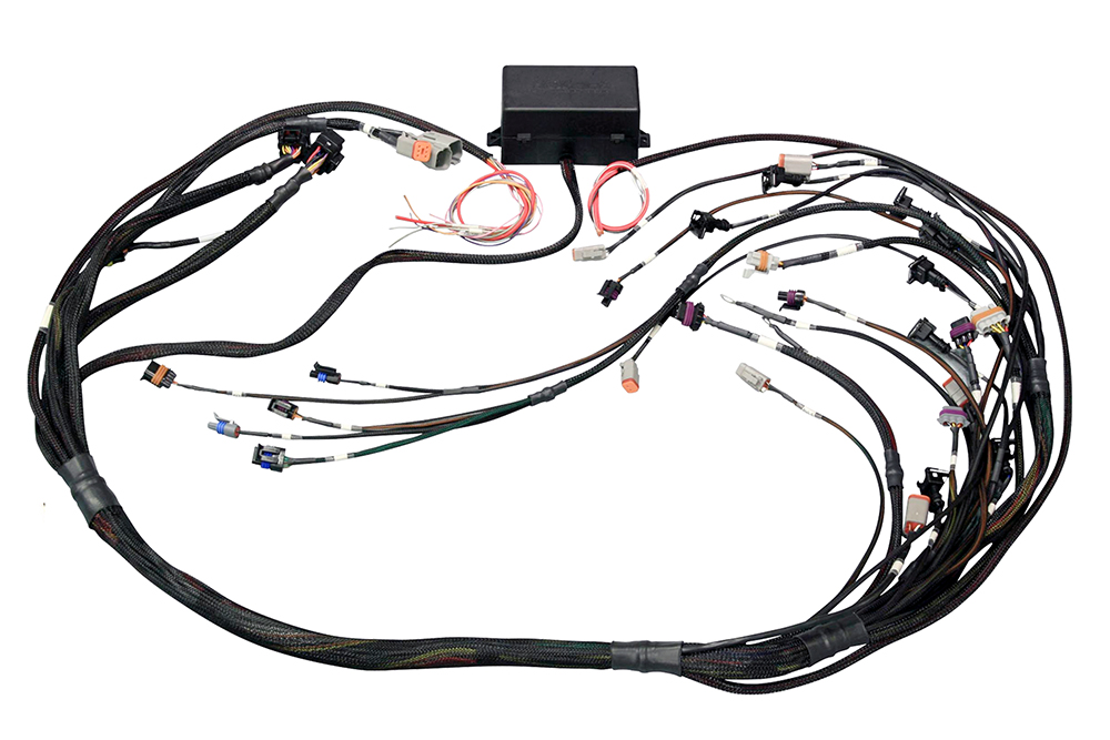 Elite 2000/2500 GM GEN III LS1 non DBW Term Harness Only EV1