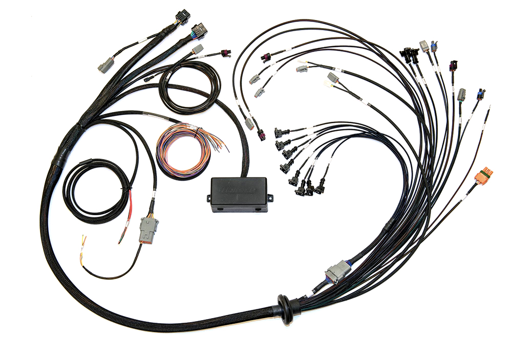 Elite 2500/2500 T V8  GM, Ford & Chrysler Term Harn Only EV1