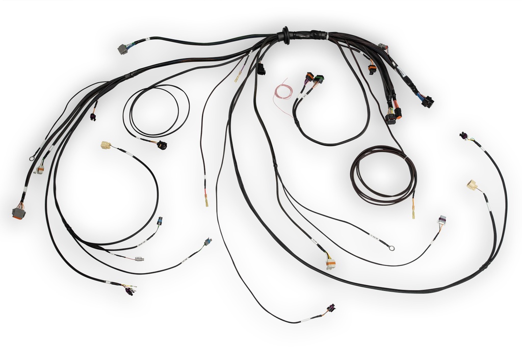 Nexus Rebel LS Main Terminated Harness