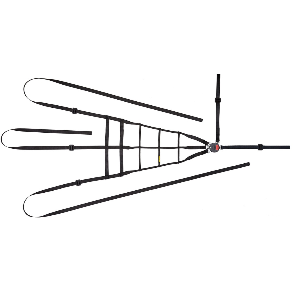 Schroth 5 Point Push Button Interior Safety Net