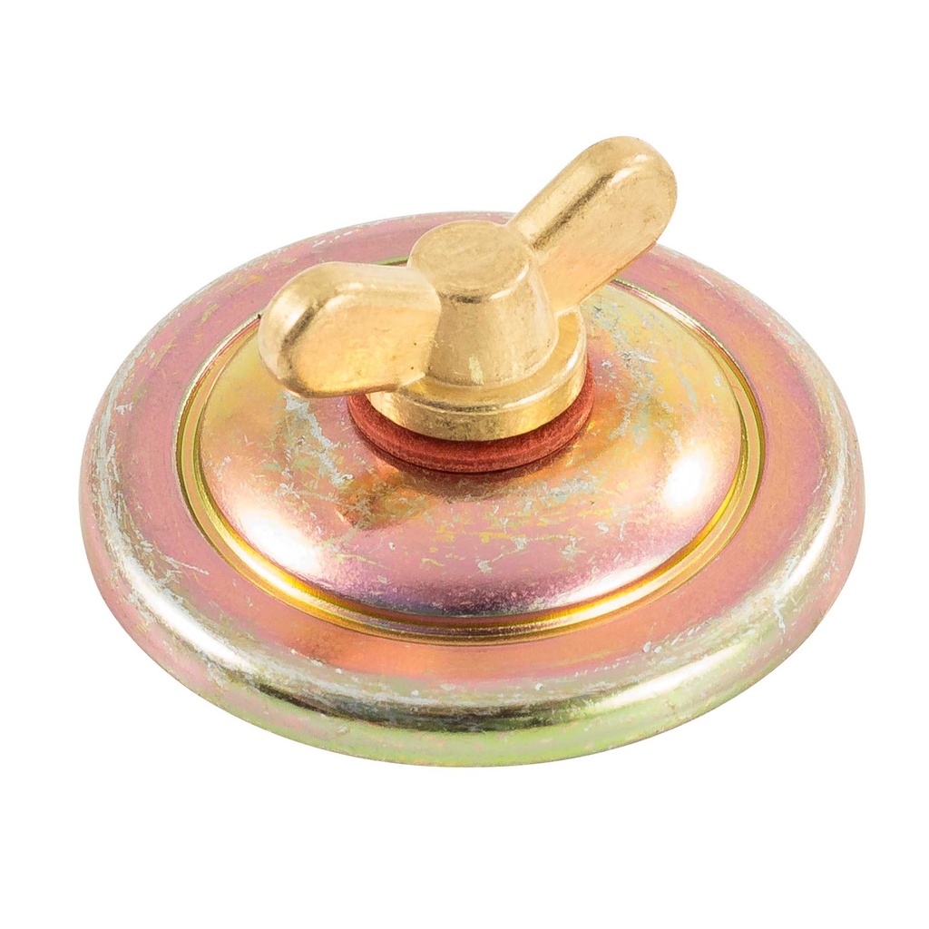 Weber DCOE Jet Inspection Cover With Screw