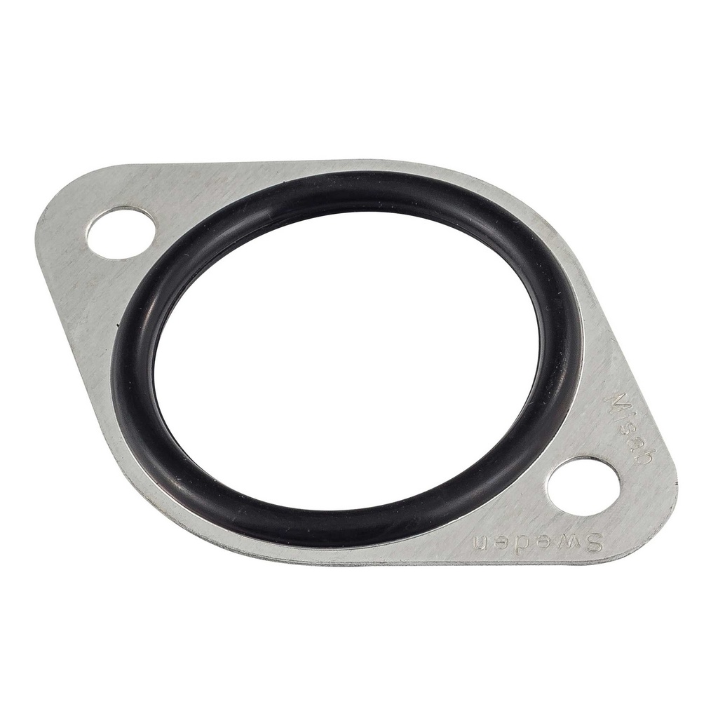 [A/A99900.301] Weber Misab Plate