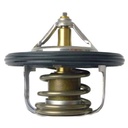 Cosworth Low Temperature Application Specific Thermostats
