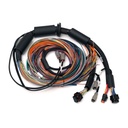 Haltech Nexus R3 Universal Wire In Harness