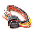 Link Engine Management ECU Wiring Loom