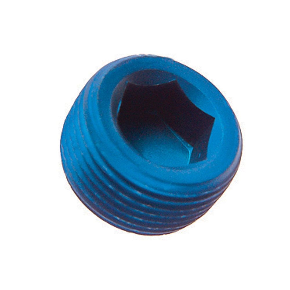 [7000021-2292084] Goodridge Socket Head Blanking Plug With NPT Thread (1/8 Inch NPT)