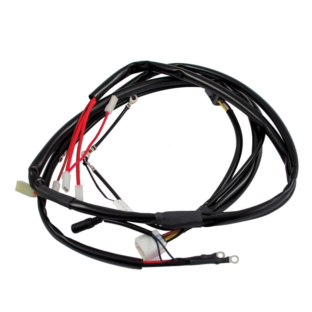 Rotax Kart Wiring Harness